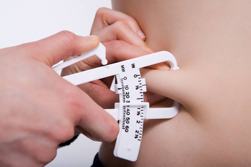 Appareil mesurer gras